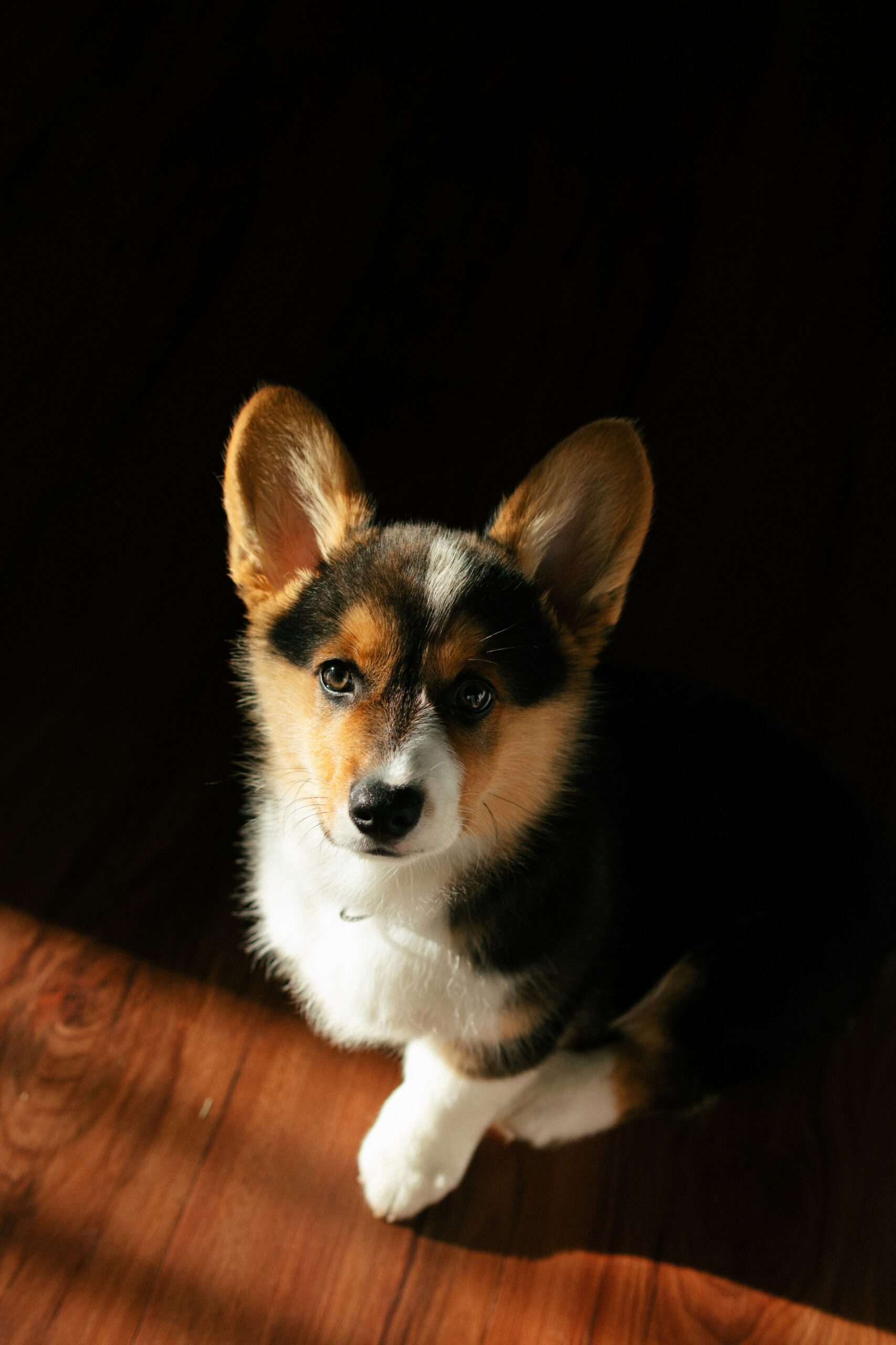 Hello world!